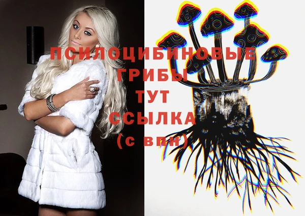 2c-b Баксан