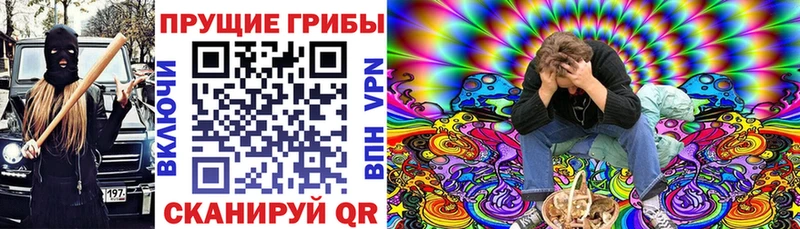 где купить наркоту  Нерюнгри  Псилоцибиновые грибы Psilocybine cubensis 