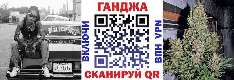 Шишки марихуана план  где купить наркоту  Нерюнгри 